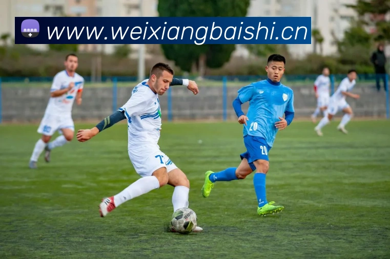 九游j9网页版入口APP 封面图